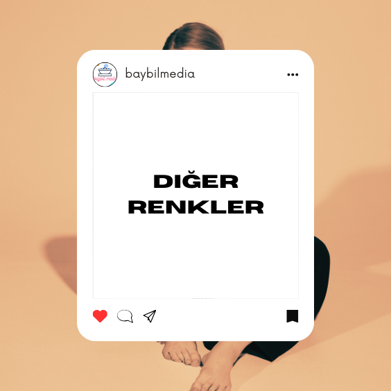 DİĞER RENKLER